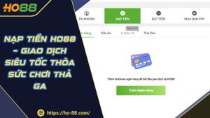 Hướng Dẫn HO88 – Cẩm Nang Thông Tin Người Chơi Cần Nắm