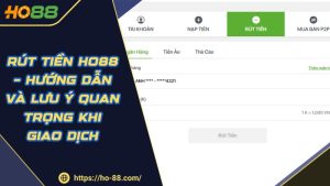 Hướng Dẫn HO88 – Cẩm Nang Thông Tin Người Chơi Cần Nắm