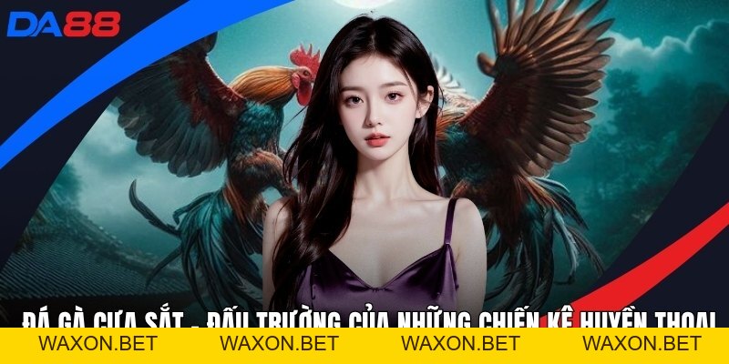 Đá Gà DA88 – Sảnh Thi Đấu Chiến Kê Đẳng Cấp Hàng Đầu
