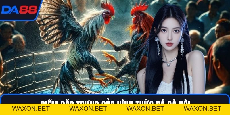 Đá Gà Nòi DA88 - Dòng Chiến Kê Huyền Thoại Trên Sới