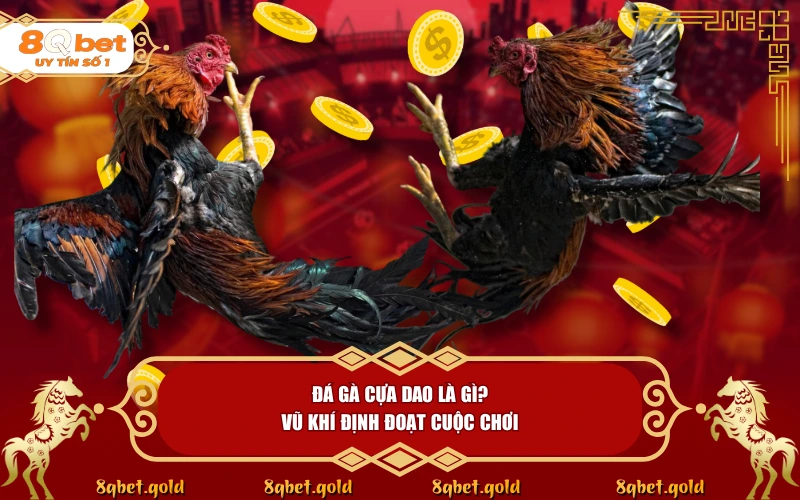Đá Gà Cựa Dao: Đỉnh Cao Chiến Kê Và Tốc Độ Nghẹt Thở | 8QBET Đá Gà Cựa Dao: Đỉnh Cao Chiến Kê Và Tốc Độ Nghẹt Thở | 8QBET