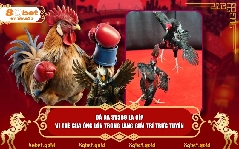 Đá Gà SV388: Giải Mã Sức Hút Của Nền Tảng Trực Tiếp Hàng Đầu Đá Gà SV388: Giải Mã Sức Hút Của Nền Tảng Trực Tiếp Hàng Đầu