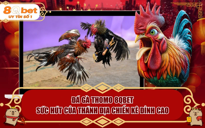 Đá Gà Thomo 8QBET: Sức Hút Của Thánh Địa Chiến Kê Đỉnh Cao Đá Gà Thomo 8QBET: Sức Hút Của Thánh Địa Chiến Kê Đỉnh Cao