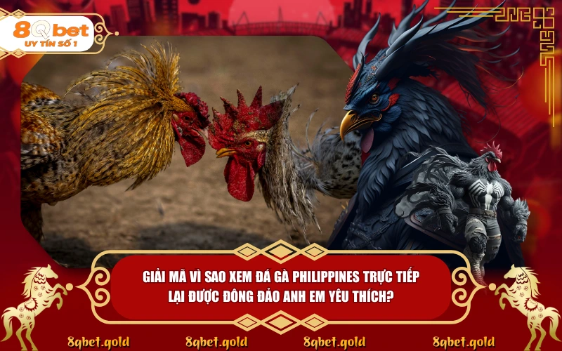 Đá Gà Philippines: Giải Mã Đỉnh Cao Nghệ Thuật Sabong Đá Gà Philippines: Giải Mã Đỉnh Cao Nghệ Thuật Sabong