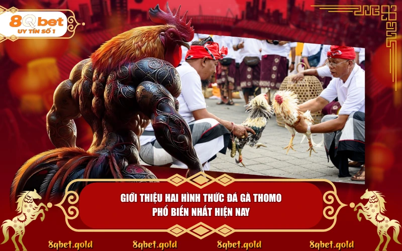 Đá Gà Thomo 8QBET: Sức Hút Của Thánh Địa Chiến Kê Đỉnh Cao Đá Gà Thomo 8QBET: Sức Hút Của Thánh Địa Chiến Kê Đỉnh Cao