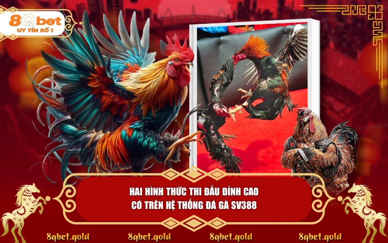 Đá Gà SV388: Giải Mã Sức Hút Của Nền Tảng Trực Tiếp Hàng Đầu Đá Gà SV388: Giải Mã Sức Hút Của Nền Tảng Trực Tiếp Hàng Đầu