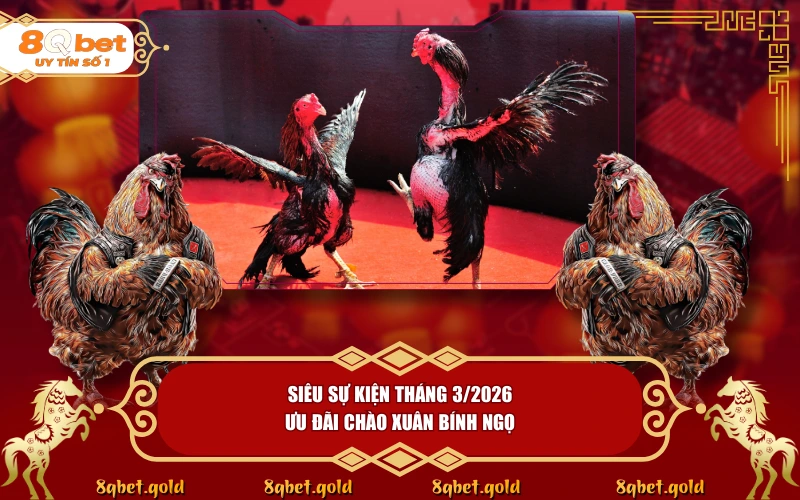 Đá Gà SV388: Giải Mã Sức Hút Của Nền Tảng Trực Tiếp Hàng Đầu Đá Gà SV388: Giải Mã Sức Hút Của Nền Tảng Trực Tiếp Hàng Đầu