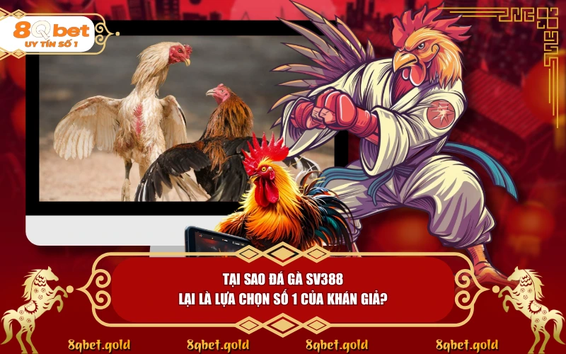 Đá Gà SV388: Giải Mã Sức Hút Của Nền Tảng Trực Tiếp Hàng Đầu Đá Gà SV388: Giải Mã Sức Hút Của Nền Tảng Trực Tiếp Hàng Đầu