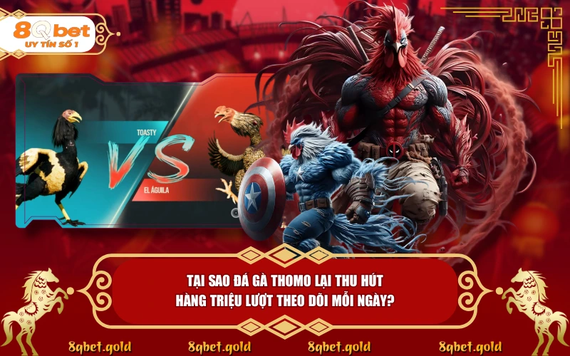 Đá Gà Thomo 8QBET: Sức Hút Của Thánh Địa Chiến Kê Đỉnh Cao Đá Gà Thomo 8QBET: Sức Hút Của Thánh Địa Chiến Kê Đỉnh Cao