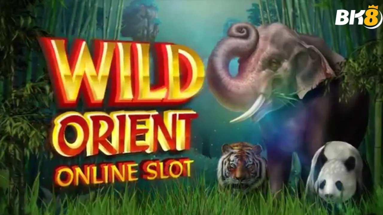 Bật mí cách chơi Wild Orient slot chi tiết cho người mới